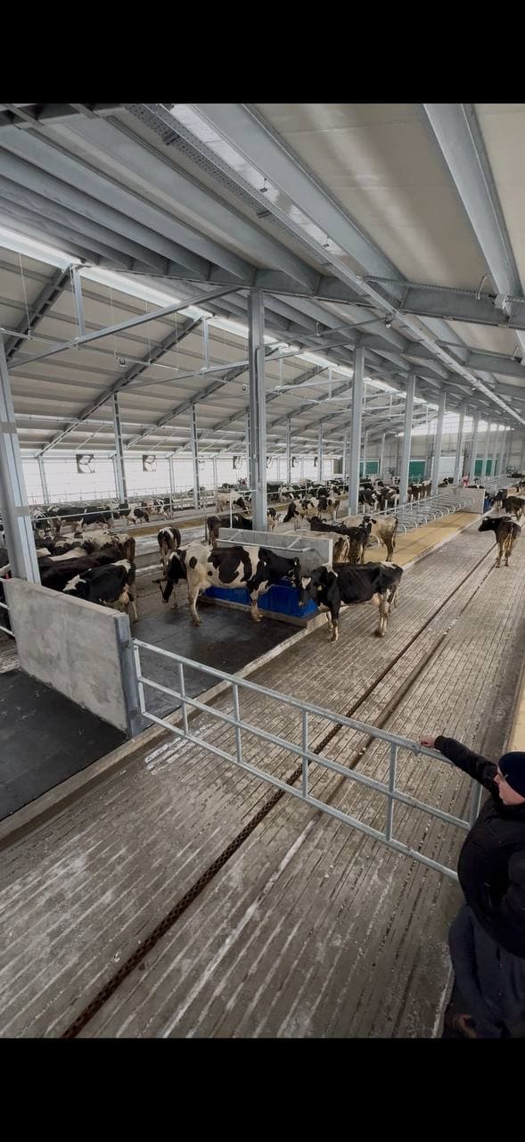 Тваринницький комплекс ФГ Щербич